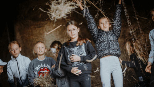 Jak przygotować konia do jazdy? Poradnik dla jeźdźców